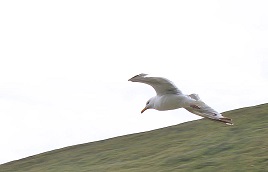 Photos from Achill. Click above for more from Keem Beach and the Deserted Village.