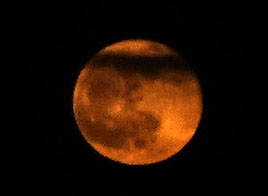 The moon had a distinct orange tinge to it last night - click on photo to view.