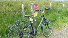 It's bike week - some photos from yesterday - a cycle along the Greenway from Achill to Mulranny. Click above to view gallery.