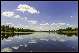 The sun is shining on Mayo. Ger Duffy has photos of the sunshine at Lough Lannagh. Click above to view.