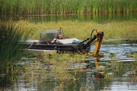 Lough Lannagh gets its annual haircut. Click for more from Pat Quigley.