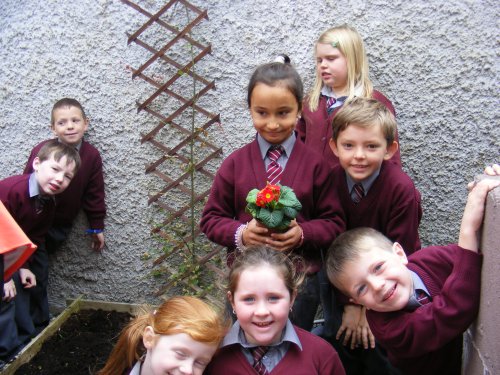 First Class garden at Breaffy Ns. Click above for more from Breaffy National School's intrepid students.
