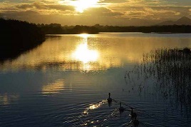 Another set of photos from Agnieska Jarota - Lough Lannagh sunset - before she heads off on her travels. Click on photo for more.