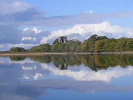 Bernard Kennedy has new photos from Bilberry and Lough Carra taken in November 2014. Click on photo to browse through his gallery.