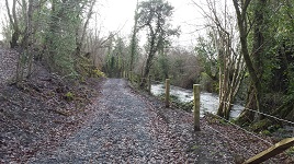 We walk the stretch of the new river walk from Turlough upstream towards Windsor Bridge. Click above for more.
