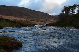 Bernard Kennedy has added some photos from the wilder parts of Mayo. Click above to browse his gallery.