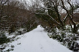 Lough Rusheen Bog Road under snow. Click for more from Bernard Kennedy.