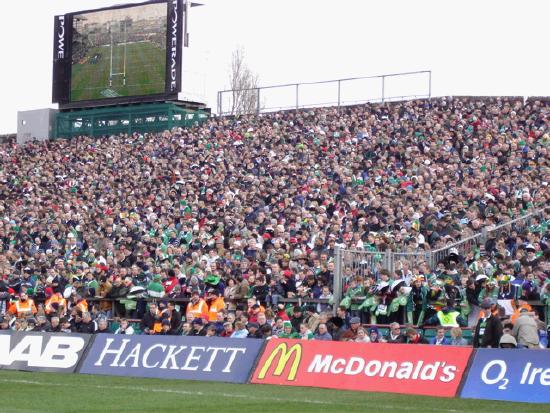 Crowd