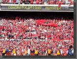 DSC01057.jpg