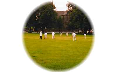 Cricket on the Mall-2