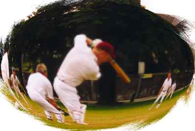 Cricket on the Mall-2