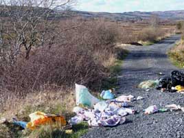 A snap from Gerry Ryder illustrating a growing problem in local beauty spots.