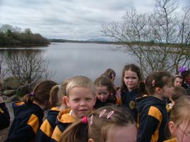 Snugboro Juniors investigating water quality at Lough Lannagh with the help of some swans! Click photo for more of what they saw on their field trip.

