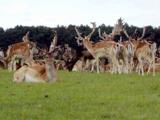DSC00638.jpg