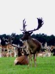 DSC00640.jpg