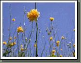 Dscn0810.jpg