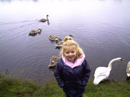 I'm a Swan not a Goose! The Children of Lir who now reside at Lough Lannagh feature regularly in our photo gallery/archive. Click photo for more beautiful Swans from Bernadette MacCormick!
