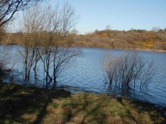 A Walk Along Lough Lannagh's Shores