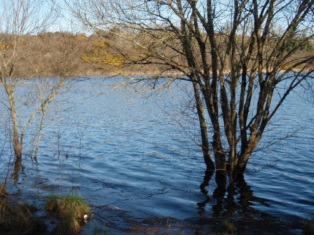 A Walk Along Lough Lannagh's Shores