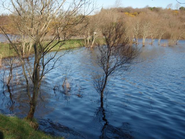 A Walk Along Lough Lannagh's Shores