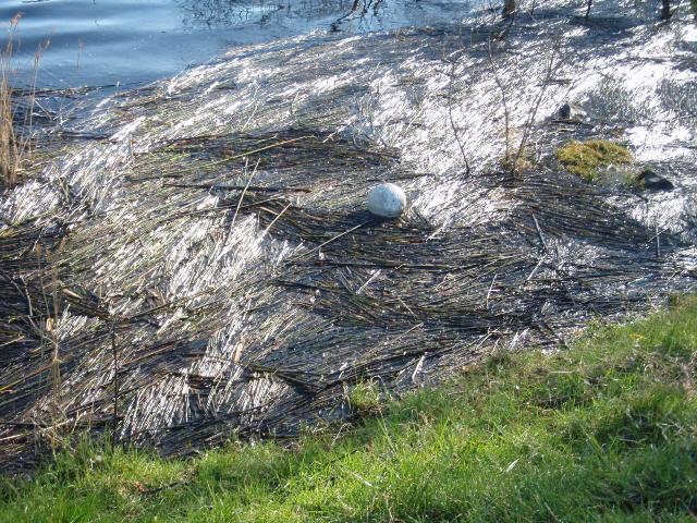 A Walk Along Lough Lannagh's Shores