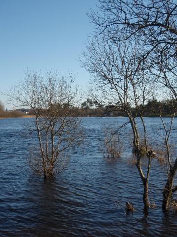 A Walk Along Lough Lannagh's Shores