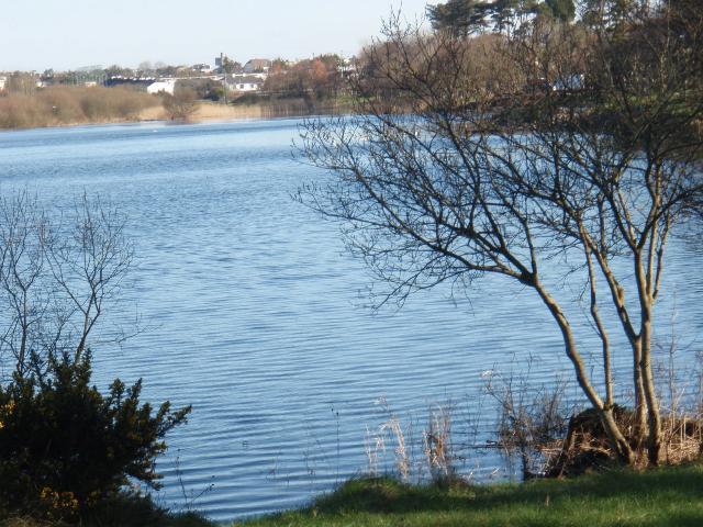 A Walk Along Lough Lannagh's Shores