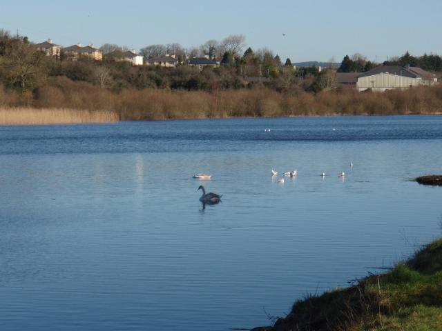 A Walk Along Lough Lannagh's Shores