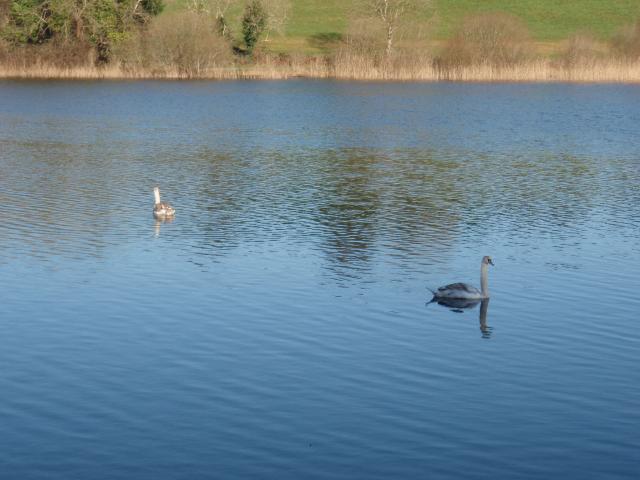A Walk Along Lough Lannagh's Shores