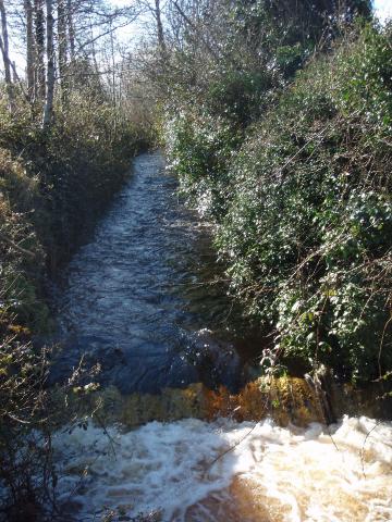 A Walk Along Lough Lannagh's Shores