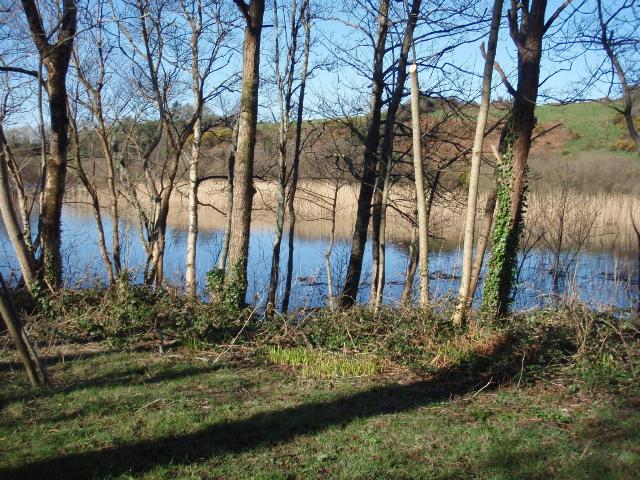 A Walk Along Lough Lannagh's Shores