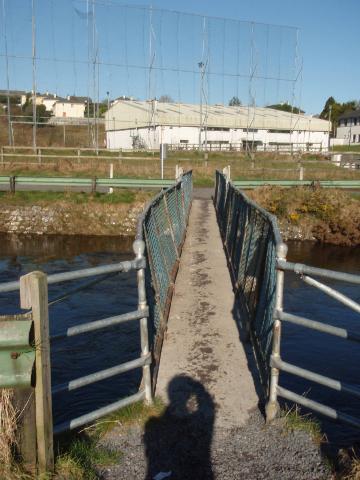 A Walk Along Lough Lannagh's Shores
