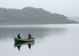 Calm waters?