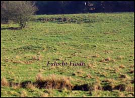 A Fulacht Fia - where the ancient residents of Castlebar once prepared their Sunday lunch (in the days before microwaves). Click on photo for details from Mayo Historical and Archaeological Society.