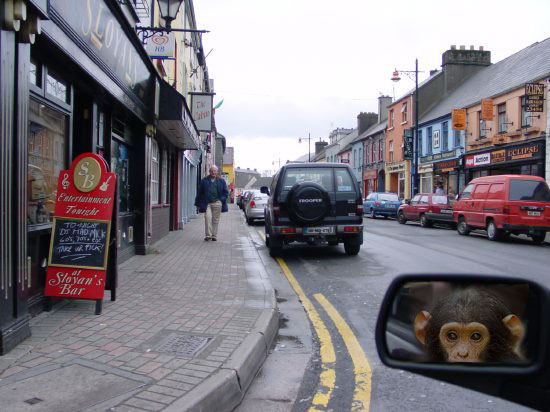 The Monkey with a Camera Photographs Linenhall Street, Castlebar