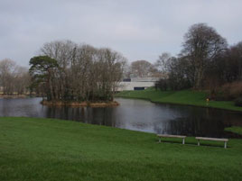 Photos taken in the gardens of Turlough House and the National Museum of Ireland. Click photo for more.