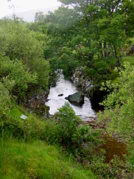 Photographs updated every day from Castlebar