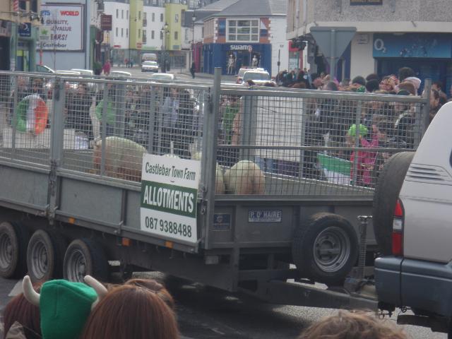 St_Patricks_Day_2010_415.jpg