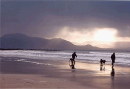 Sean Smyth has forwarded copies of three of the winning photos from the Mayo County Council Blue Flag Beach Photography Competition 2007.  Click photo to take a trip to some beautiful Mayo beaches!