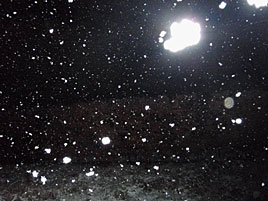 Snow flakes falling in Castlebar last night. Click photo for more not so spring-like photos taken at night in the snow.