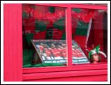 all-ireland-2006-43.jpg