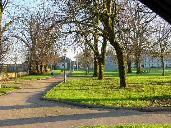 The Mall on January 28th 2006 - bare branches but sunny and cold. Ireland has been sitting under a very stable high pressure system all this week.