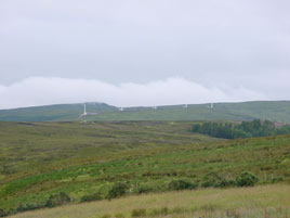 White towers in the distance.