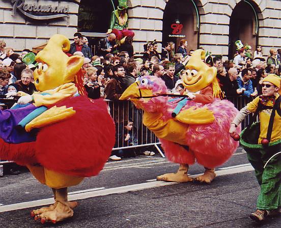 BirdBand04.jpg