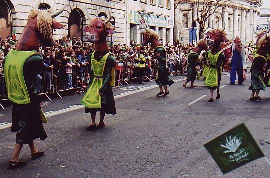 CowDance01.jpg