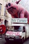 PetsCorner01.jpg