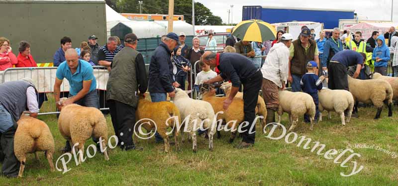 Stiff competition at Bonniconlon 61st Agricultural Show and Gymkhana Photo: © Michael Donnelly