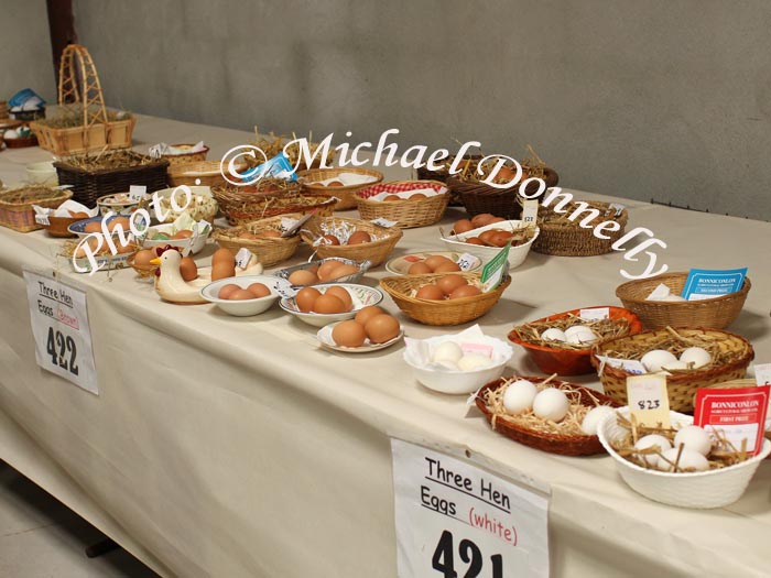 Eggs of all colours (as long as they are brown or white)  at Bonniconlon 61st Agricultural Show and Gymkhana. Photo: © Michael Donnelly