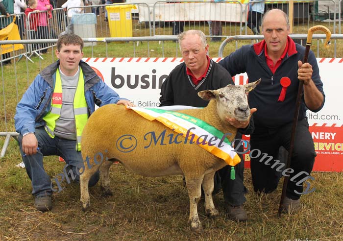  Aidan Fahy, Ardrahan Co Galway pictured with  his  All-Ireland Crossbred Lowland shortwool Ewe -  Reserve Champion Sheep of  Bonniconlon 61st Agricultural Show and Gymkhana, sponsored by Ballina Business Supplies, included in photo are Martin Greavy, Steward and Neville Myles, (Judge) Ballyshannon, Co Donegal. Photo: © Michael Donnelly