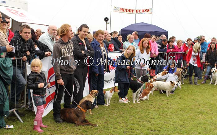 Section of the large entry  at Bonniconlon 61st Agricultural Show and Gymkhana. Photo: © Michael Donnelly